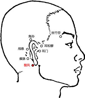 翼風穴|翳風穴 